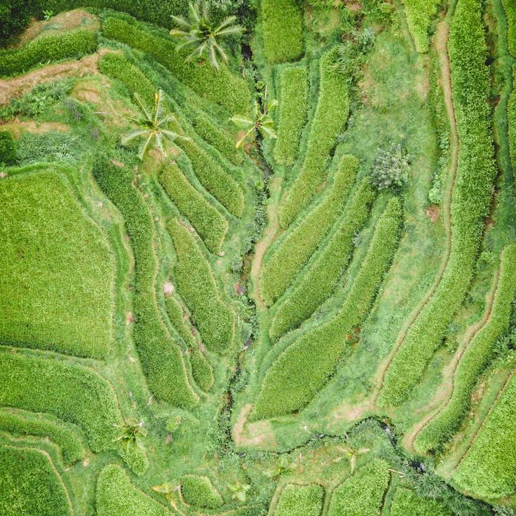 Family terraces and cafés for calm evenings in Bologna